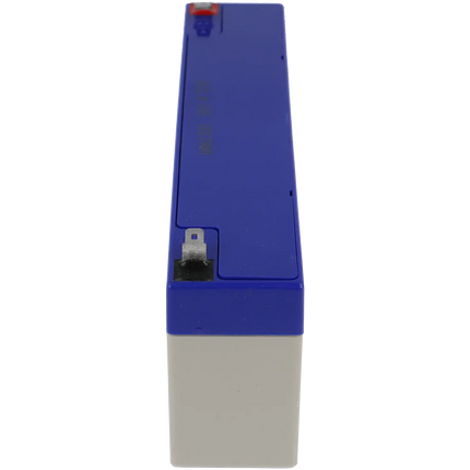 Système d'alarme expert Batterie Ultracell SA-214-2.4Ah
