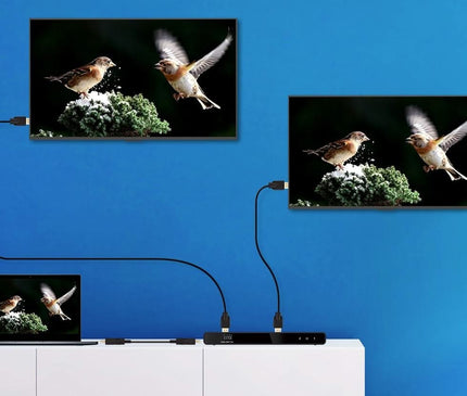Alarm SystemExpert.fr Alarm SystemExpert.fr Répartiteur HDMI 2 ports, 4K 60Hz UHD