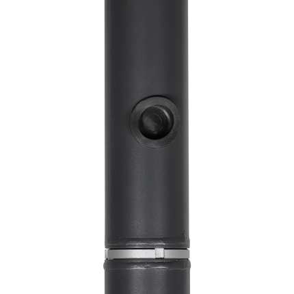 AlarmsysteemExpert.nl Cameramast 4.5m Donkergrijs, Gegalvaniseerd staal, Bliksemafleider