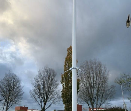 AlarmsysteemExpert.nl Cameramast verplaatsbaar aluminium 3 meter Ø 90mm met tegelframe