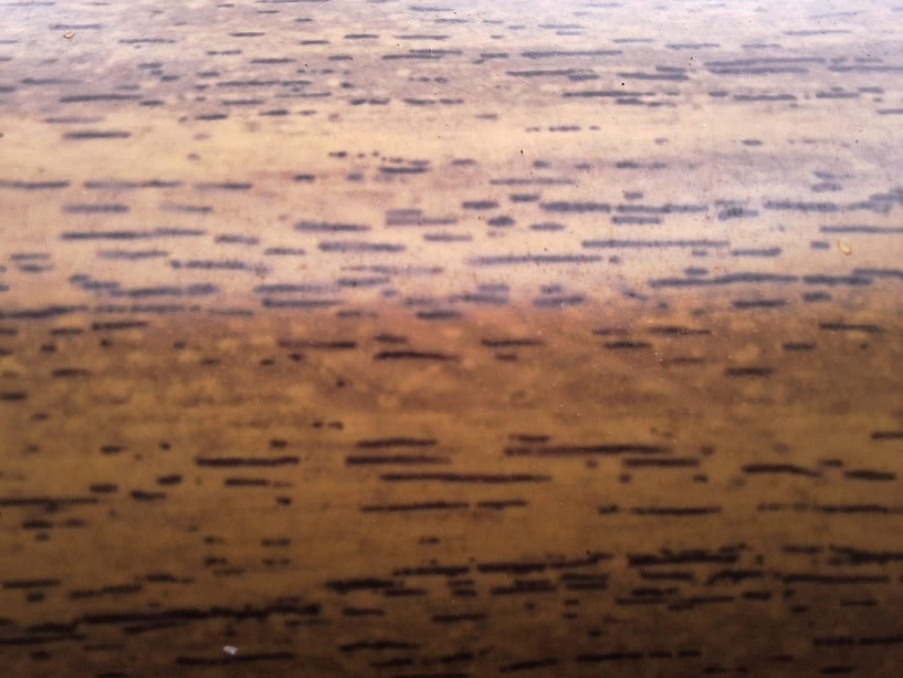 AlarmsysteemExpert.nl Lichte houtstructuur cameramast met kantelanker 3 meter