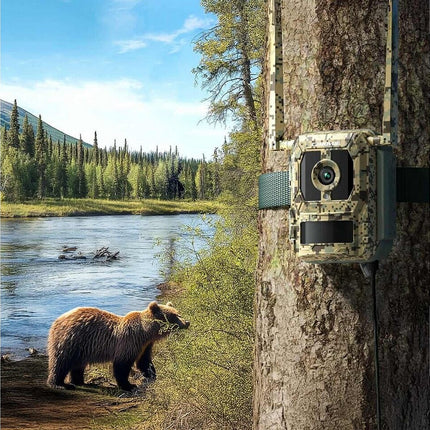 Reolink Reolink S130-C, caméra Wildlife 8MP 4K avec Live view et Starlight